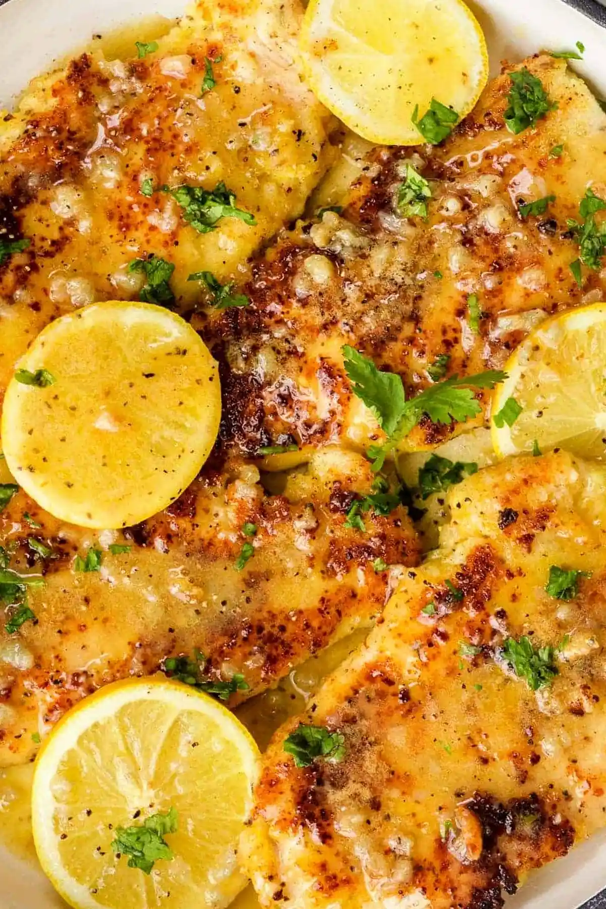 Parmesan Crusted Lemon Chicken with Garlic Butter Sauce 3 Recipe image