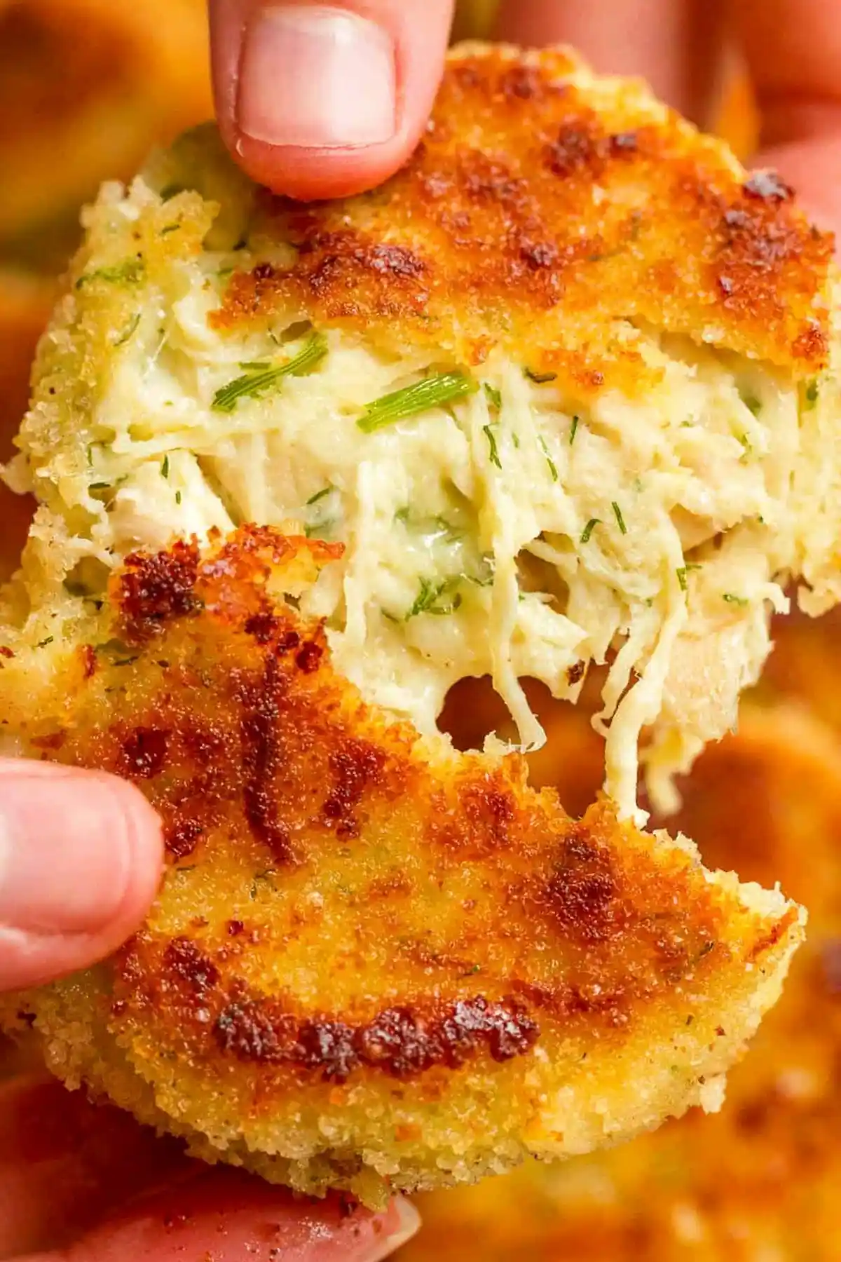 Cheesy Chicken Patties with Lemon and Dill 3 Recipe image
