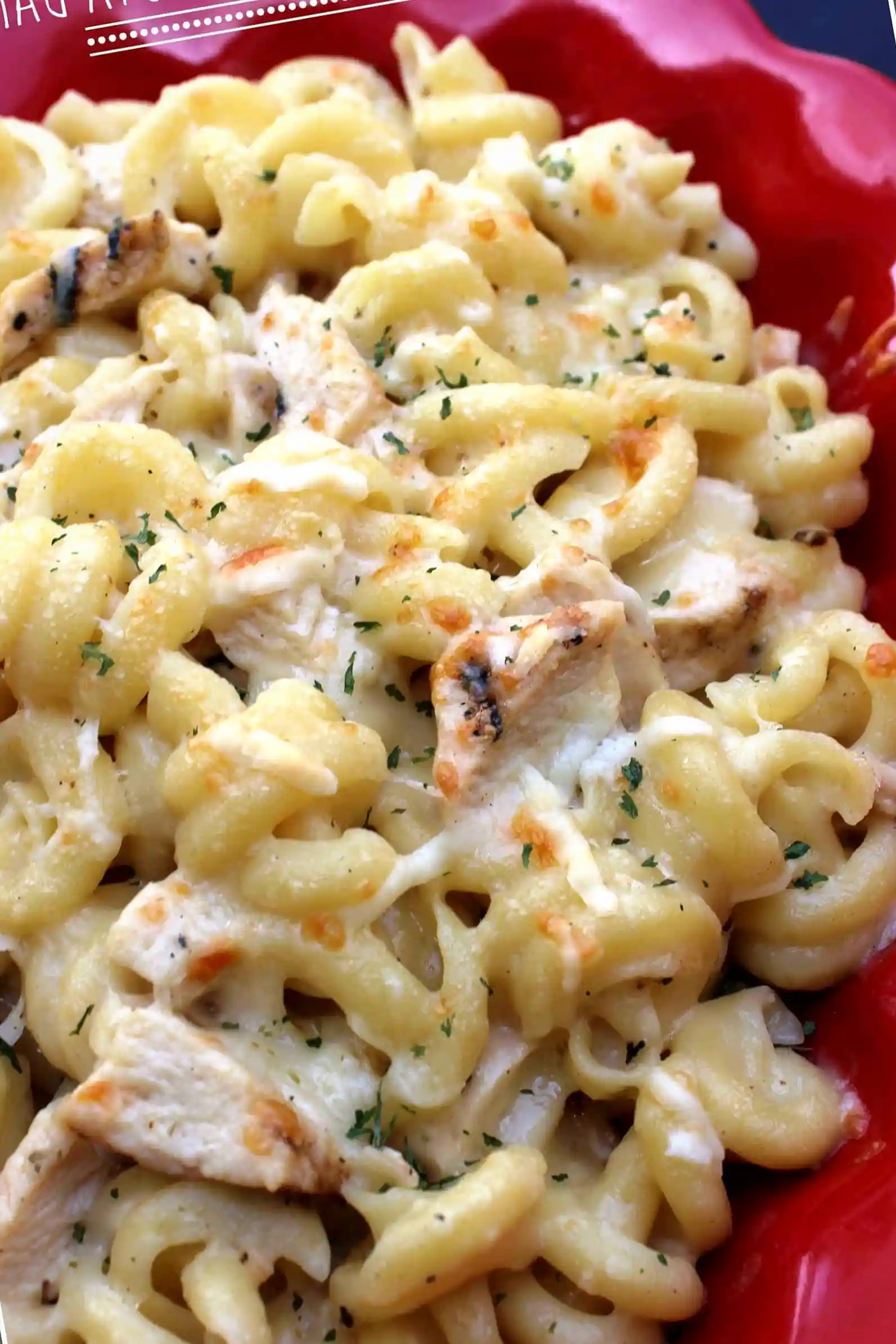 Creamy Four Cheese Chicken Pasta Bake 3 Recipe image