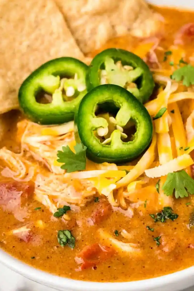 Slow Cooker King Ranch Chicken Soup Recipe 3 Slow Cooker King Ranch Chicken Soup Recipe