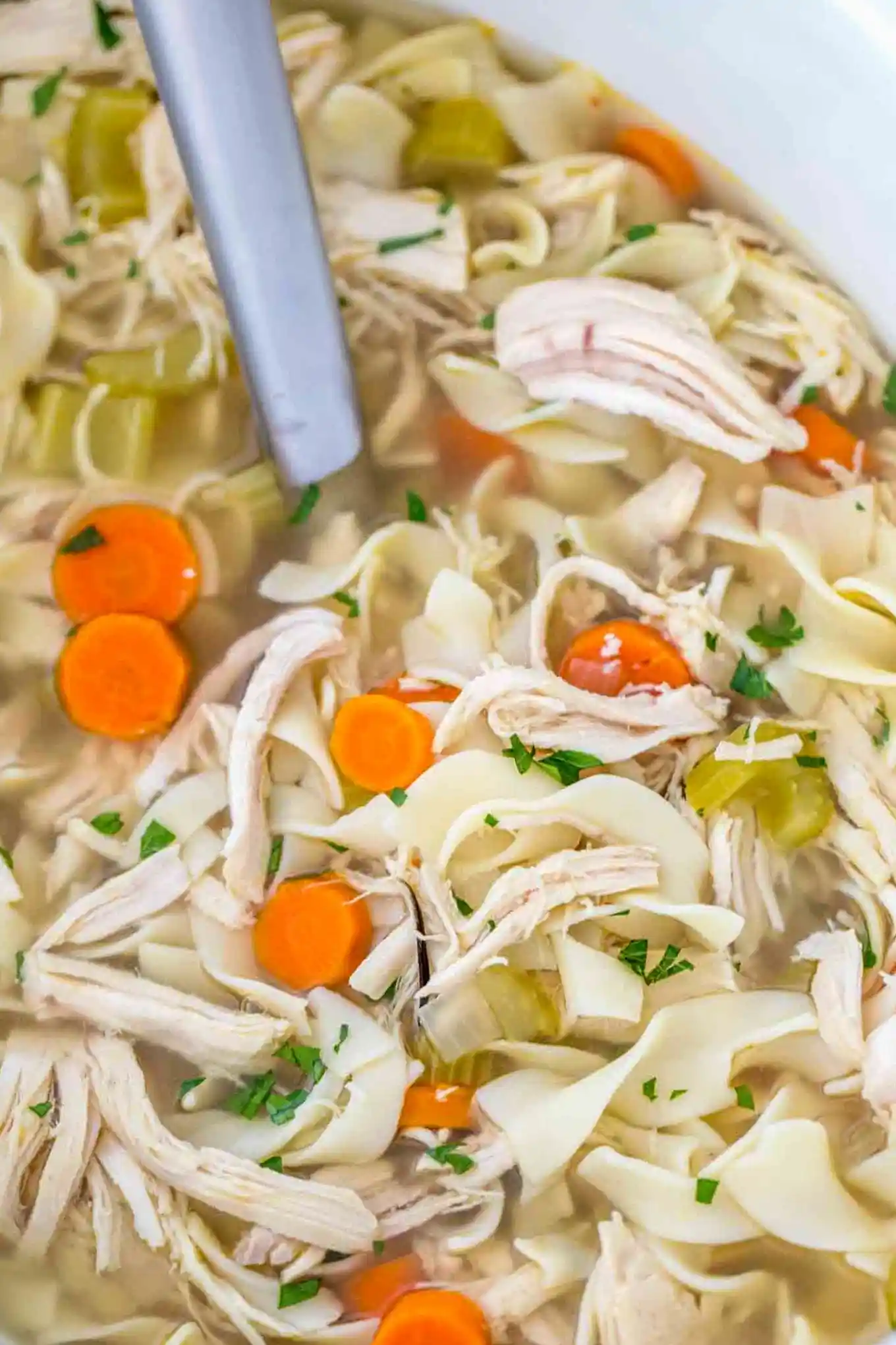 Crockpot Chicken Noodle Soup 3 Crockpot Chicken Noodle Soup
