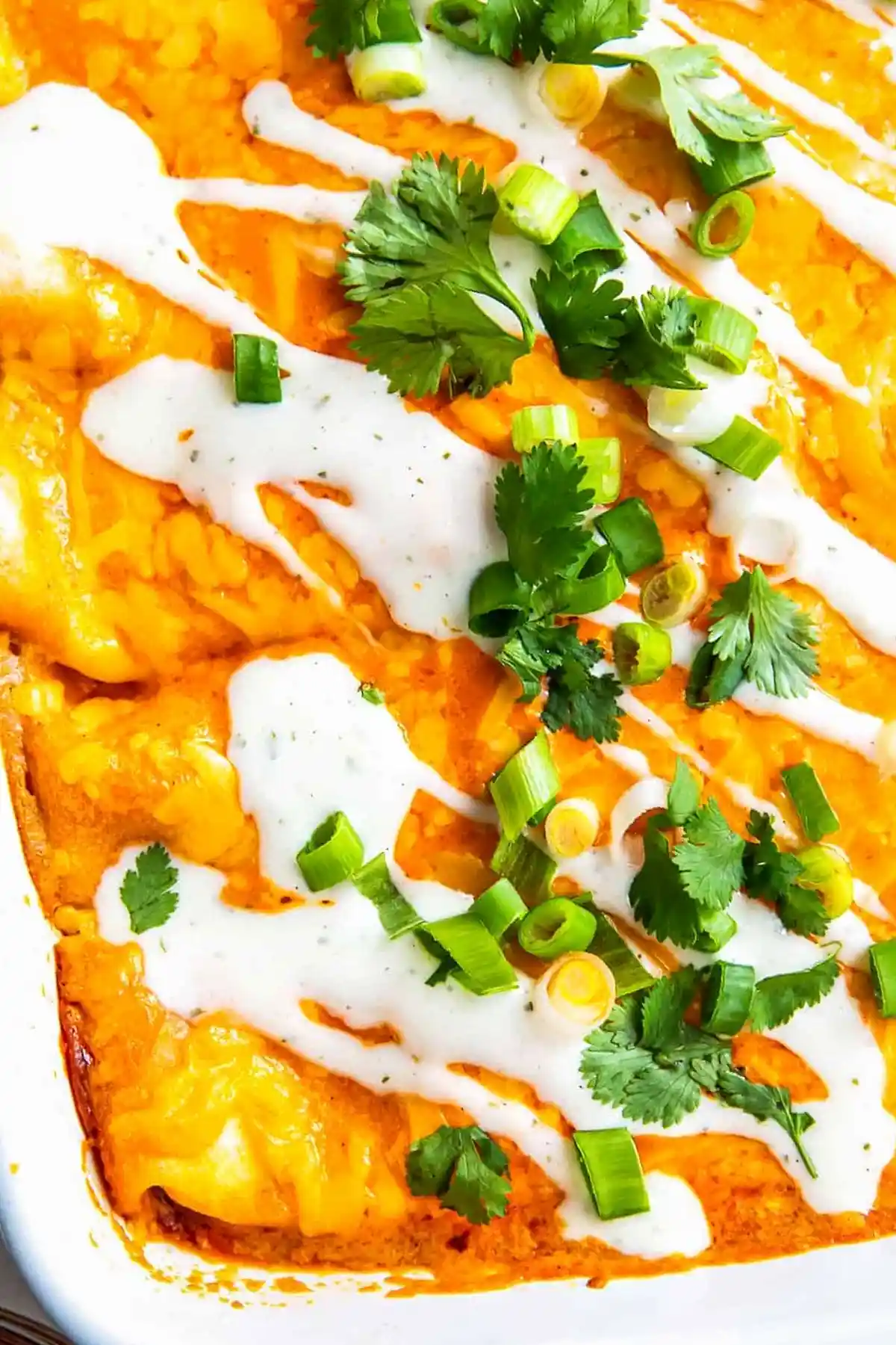 Buffalo Chicken Enchiladas Recipe 3 Buffalo Chicken Enchiladas Recipe