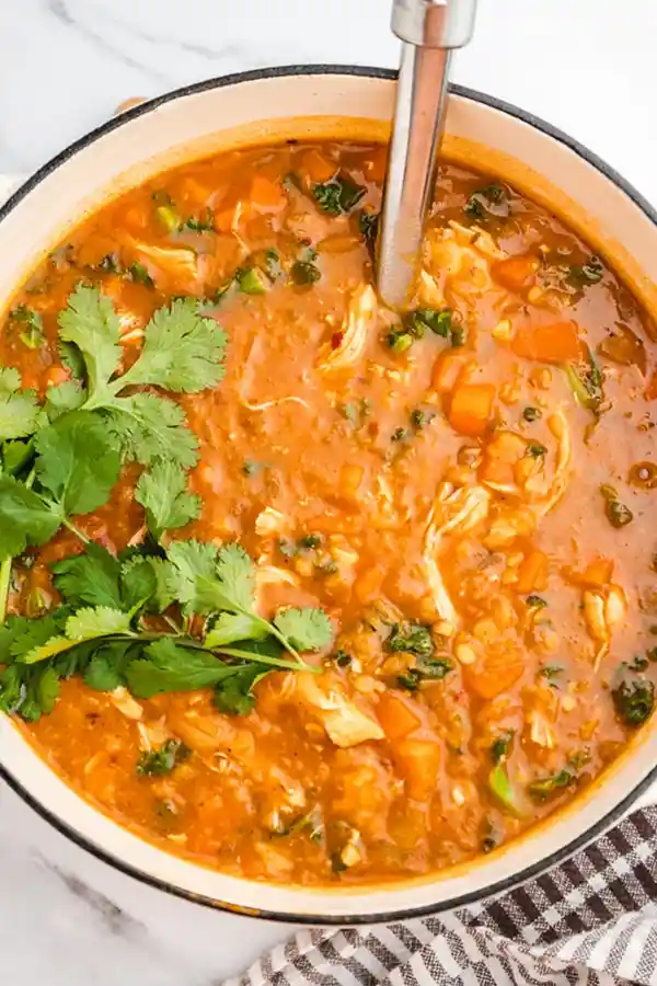Wholesome Chicken and Red Lentil Soup 3 Wholesome Chicken and Red Lentil Soup