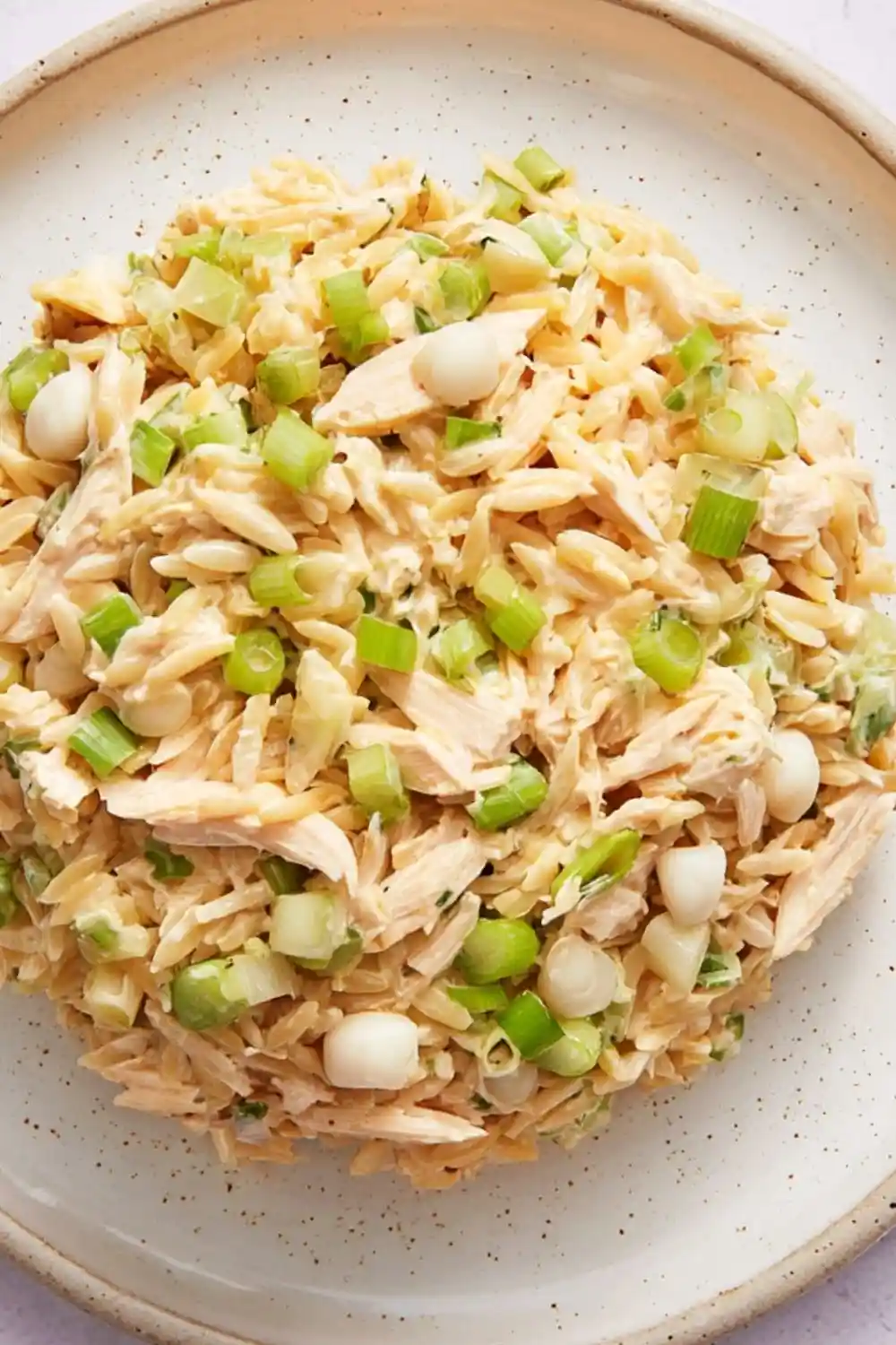 Classic Cold Chicken Rice-A-Roni Salad 3 Classic Cold Chicken Rice-A-Roni Salad